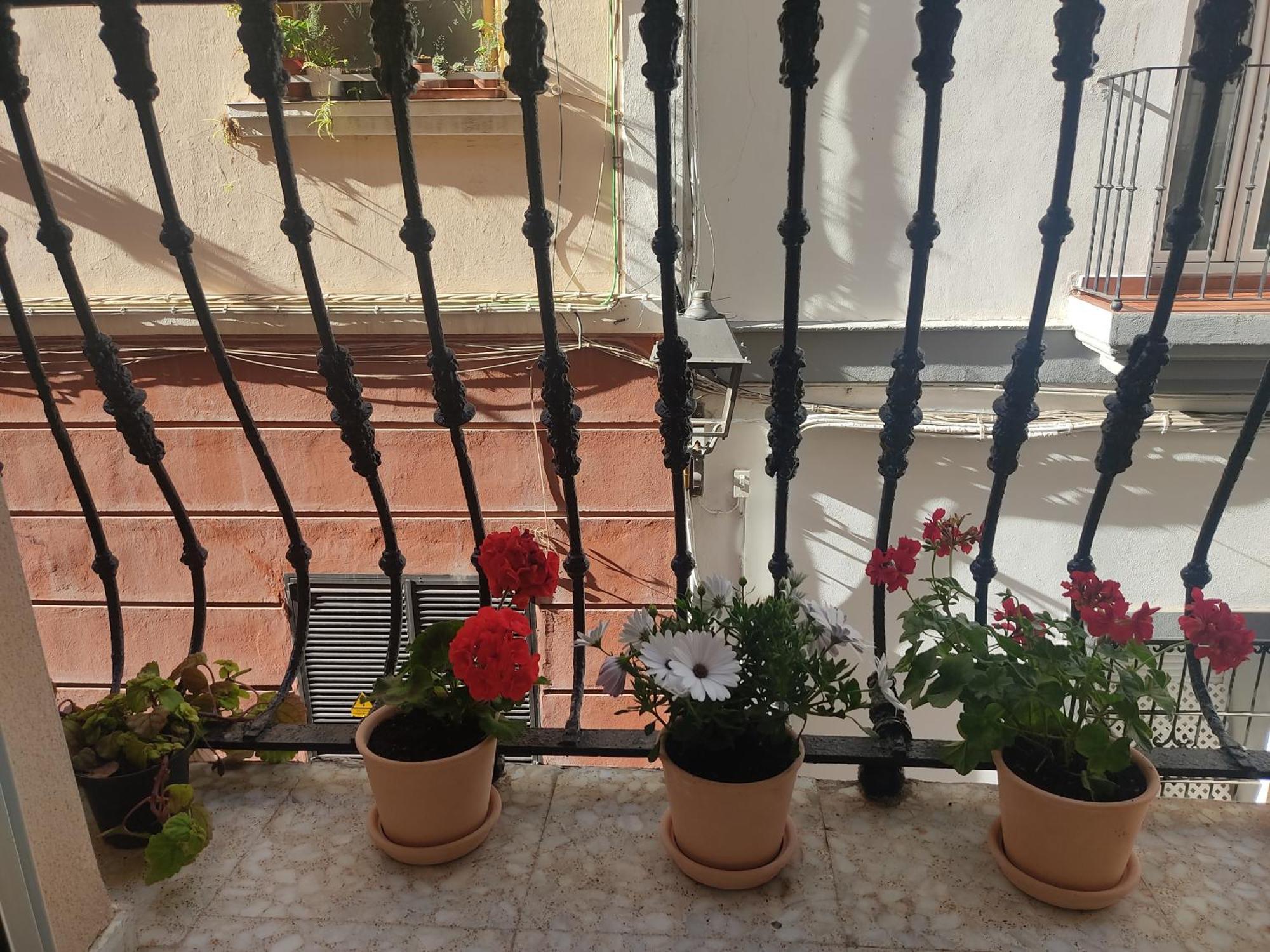 Appartamento Estreno Centro Y Playa Cadice Esterno foto
